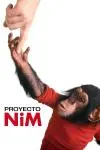 Proyecto Nim_peliplat