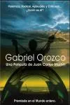 Gabriel Orozco_peliplat