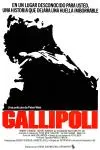 Gallipoli_peliplat