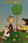 Es el día del árbol, Charlie Brown_peliplat
