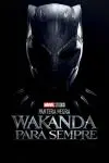 Pantera Negra: Wakanda para Sempre_peliplat