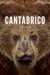 Cantábrico: Los dominios del oso pardo_peliplat