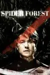 Spider Forest_peliplat