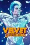 Velvet Goldmine_peliplat
