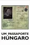 Un passeport Hongrois_peliplat