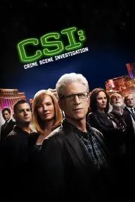 CSI: Crime Scene Investigation_peliplat