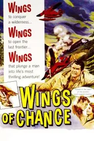 Wings of Chance_peliplat