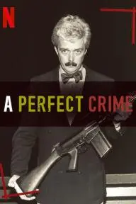 A Perfect Crime_peliplat