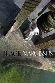 Black Narcissus_peliplat