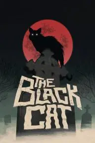 The Black Cat_peliplat
