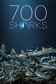 700 Sharks_peliplat