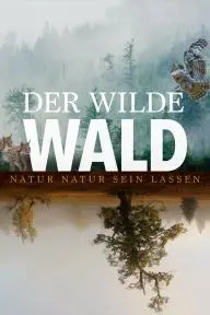 Der Wilde Wald_peliplat