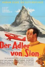Der Adler vom Matterhorn_peliplat