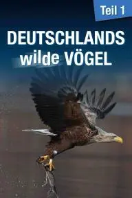 Deutschlands wilde Vögel_peliplat