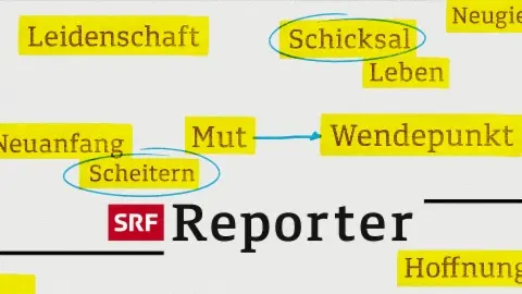 SRF Reporter_peliplat