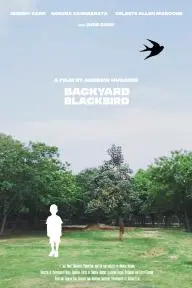 Backyard Blackbird_peliplat