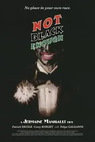 Not Black Enough_peliplat