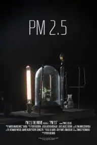 PM 2.5_peliplat