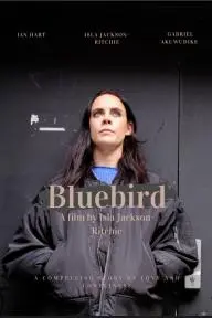 Bluebird_peliplat