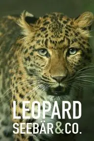 Leopard, Seebär & Co._peliplat