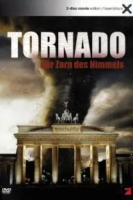 Tornado - La furia del cielo_peliplat
