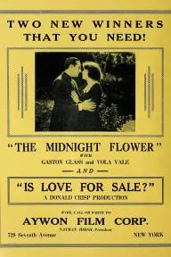 The Midnight Flower_peliplat