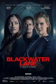 Blackwater Lane_peliplat