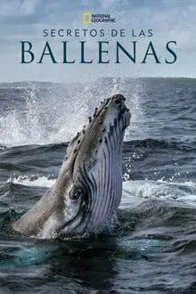 Secretos de las ballenas_peliplat