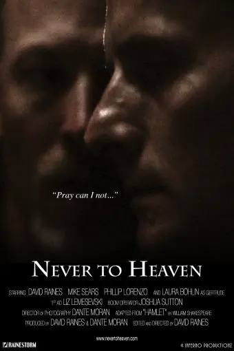 Never to Heaven_peliplat