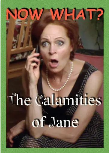 The Calamities of Jane_peliplat