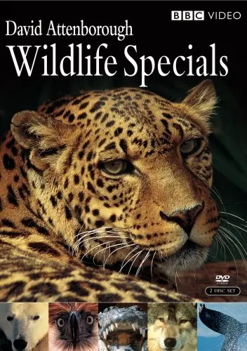 Wildlife Specials_peliplat