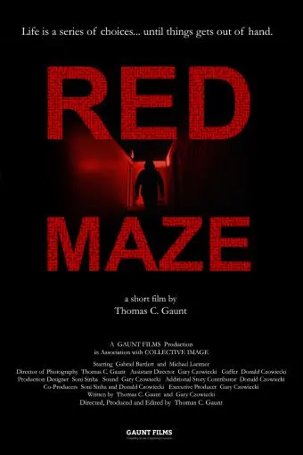 Red Maze_peliplat