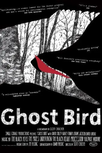 Ghost Bird_peliplat
