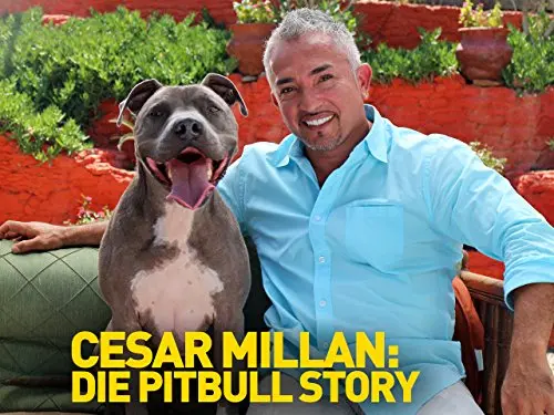 Cesar Millan: Love My Pit Bull_peliplat