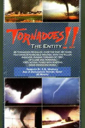 Tornadoes: The Entity_peliplat