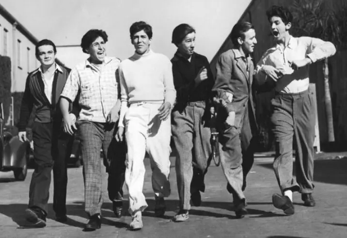Bowery Rhapsody: The Rise and Redemption of Hollywood's Original 'Brat Pack'_peliplat
