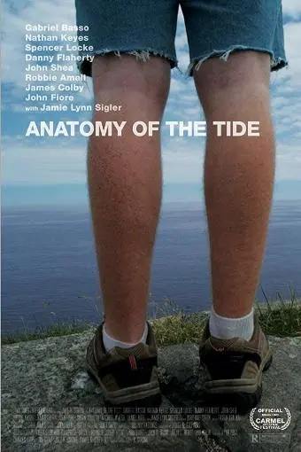 Anatomy of the Tide_peliplat
