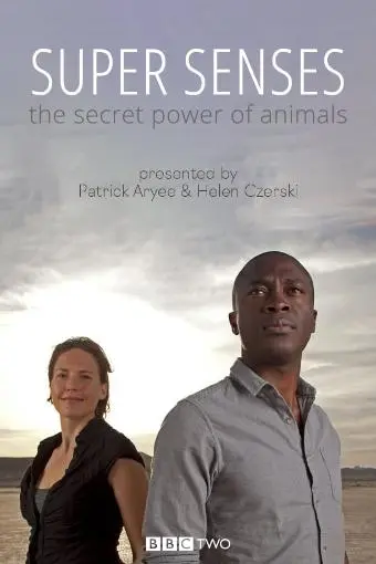 Super Senses: The Secret Power of Animals_peliplat
