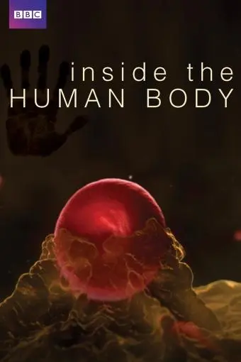 Dentro del cuerpo humano_peliplat
