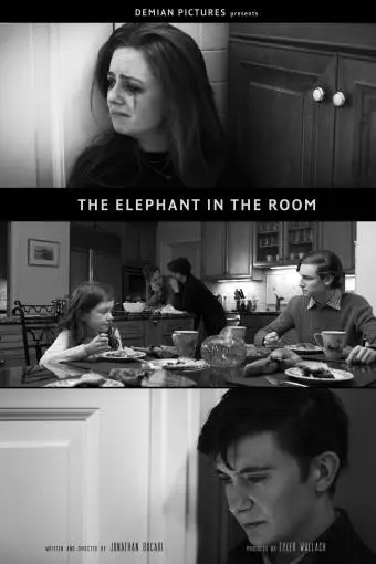 The Elephant in the Room_peliplat