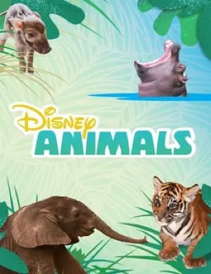 Disney Animals_peliplat
