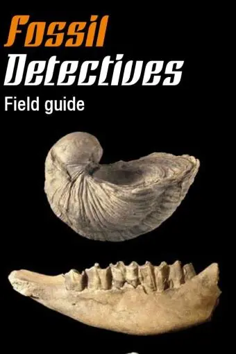 Fossil Detectives_peliplat