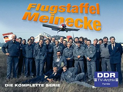 Flugstaffel Meinecke_peliplat