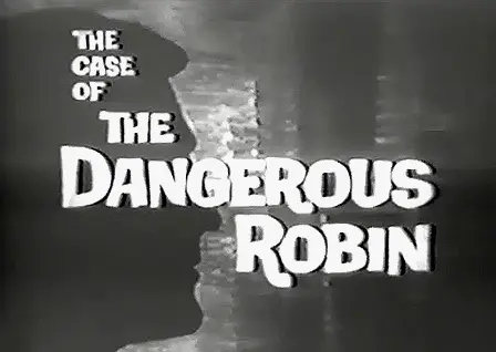 The Case of the Dangerous Robin_peliplat