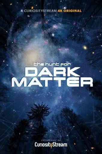 The Hunt for Dark Matter_peliplat