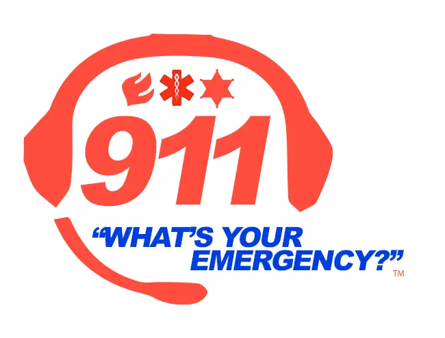 9-1-1: What's Your Emergency?_peliplat