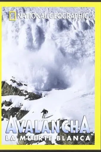 Avalanche: The White Death_peliplat