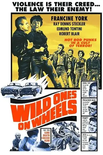 Wild Ones on Wheels_peliplat