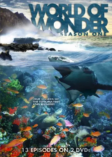 World of Wonder_peliplat