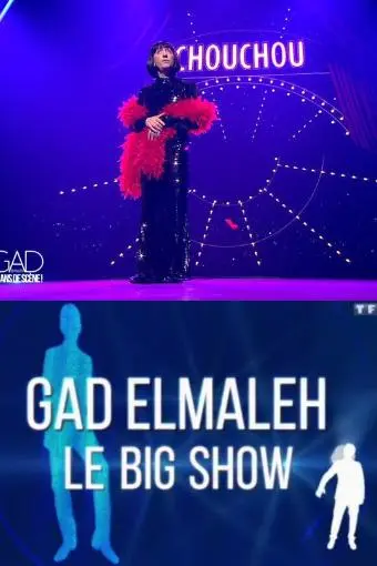 Gad Elmaleh: Le big show_peliplat